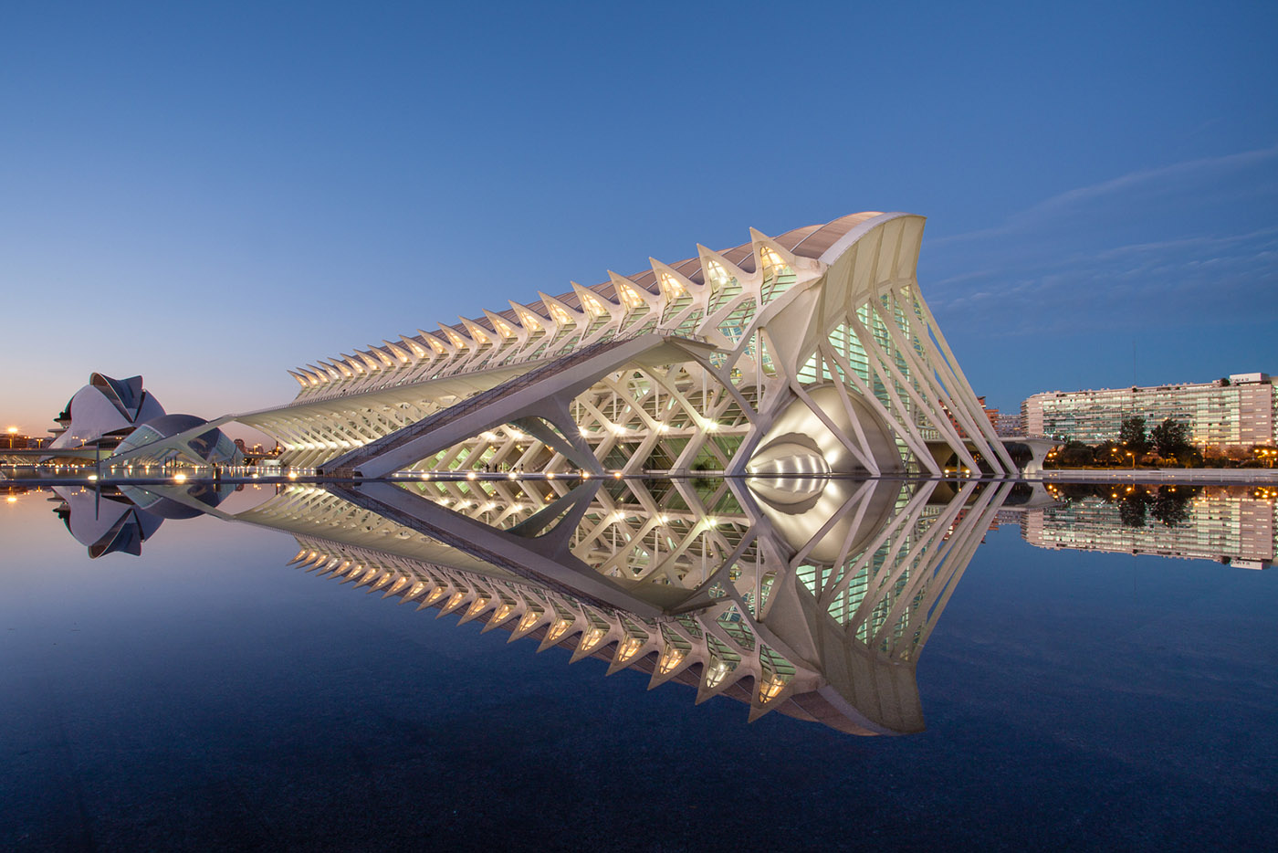SantiagoCalatrava_Valancia Bela Benedek